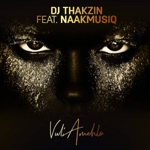 DJ Thakzin feat. NaakMusiQ - Vul’Amehlo